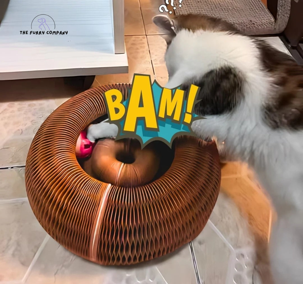 Kitty Curl Toy