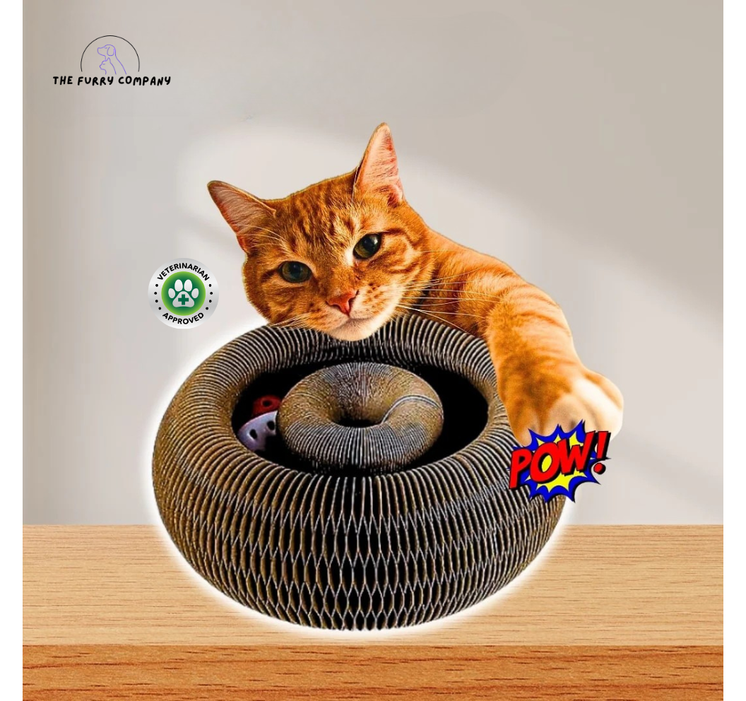 Kitty Curl Toy