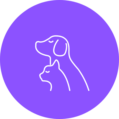 The Furry Company