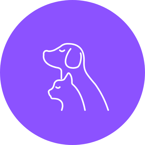 The Furry Company